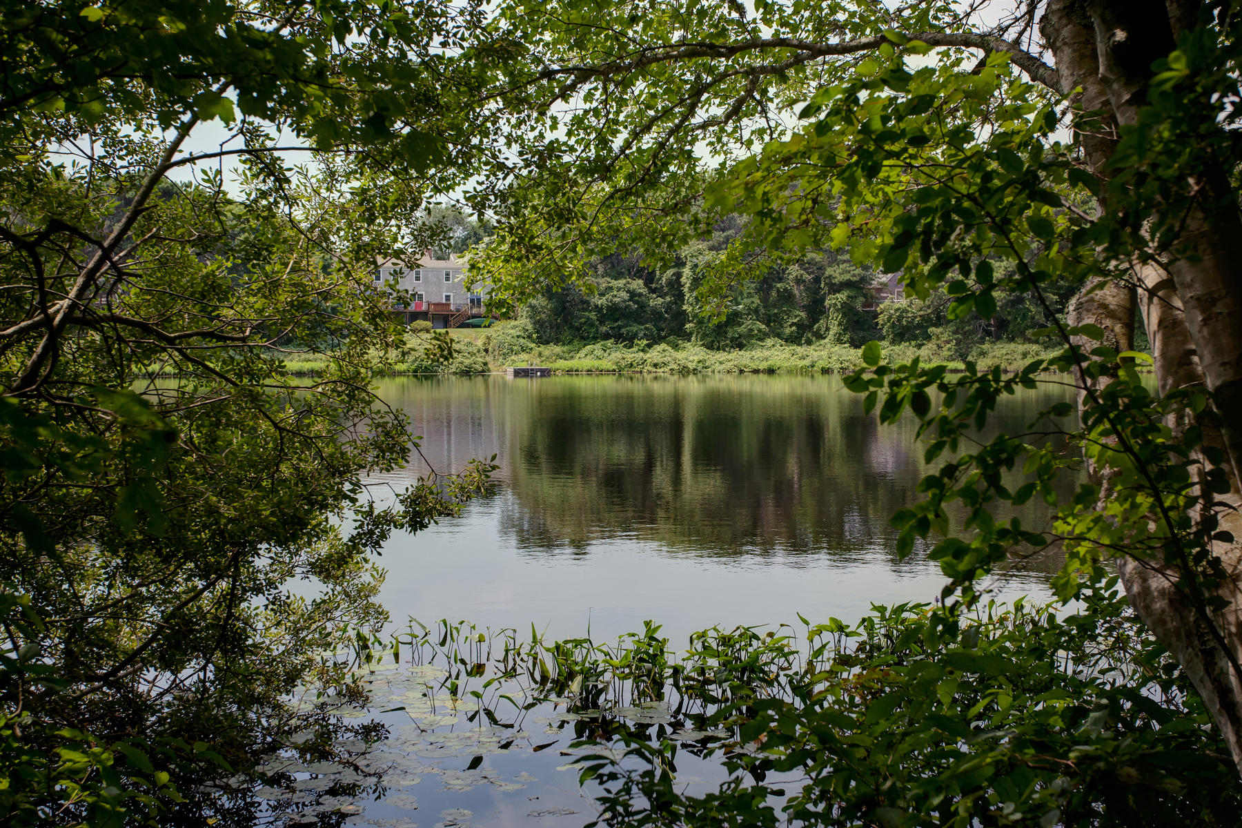 167 Ralyn Road Cotuit, MA 02635 - Photo 32 of 32 a view of a lake with a tree