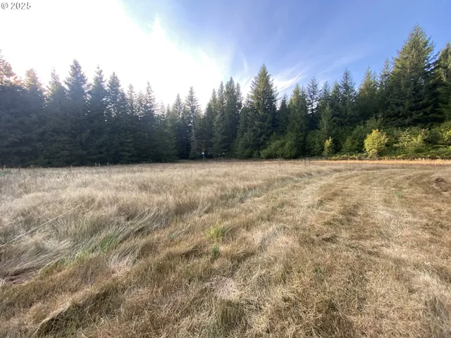 $699,900 | 23801 Northeast Muncton Drive, Yacolt, WA 98675