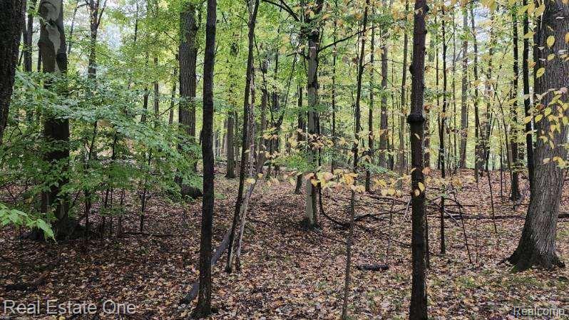 -curtis Rd Curtis Road Leonard, MI 48367 - Photo 6 of 11