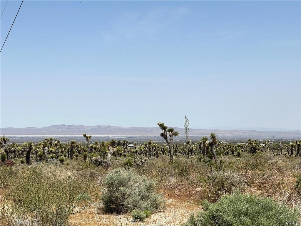 18 Wintergreen Road Pinon Hills, CA 92372 - Photo 1 of 1 Gallery Image 1