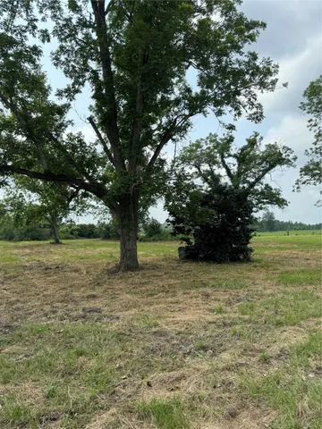 $130,000 | 5698 Farm To Market Road 2626, Newton, TX 75966