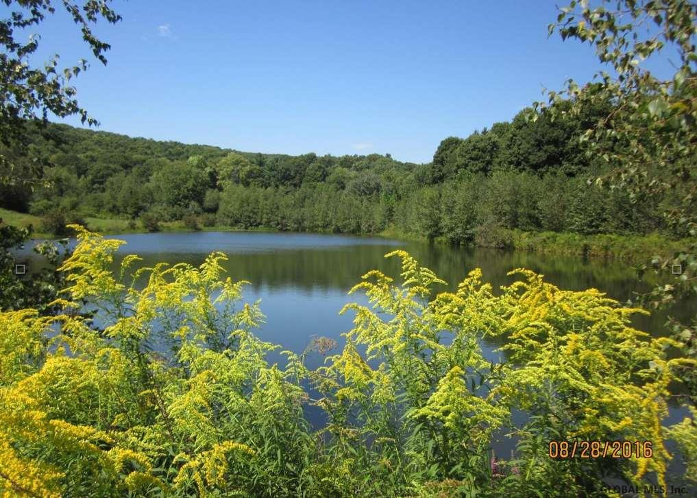 2 Elsohn Road Ancram, NY 12502 - Photo 1 of 15 Photo 1