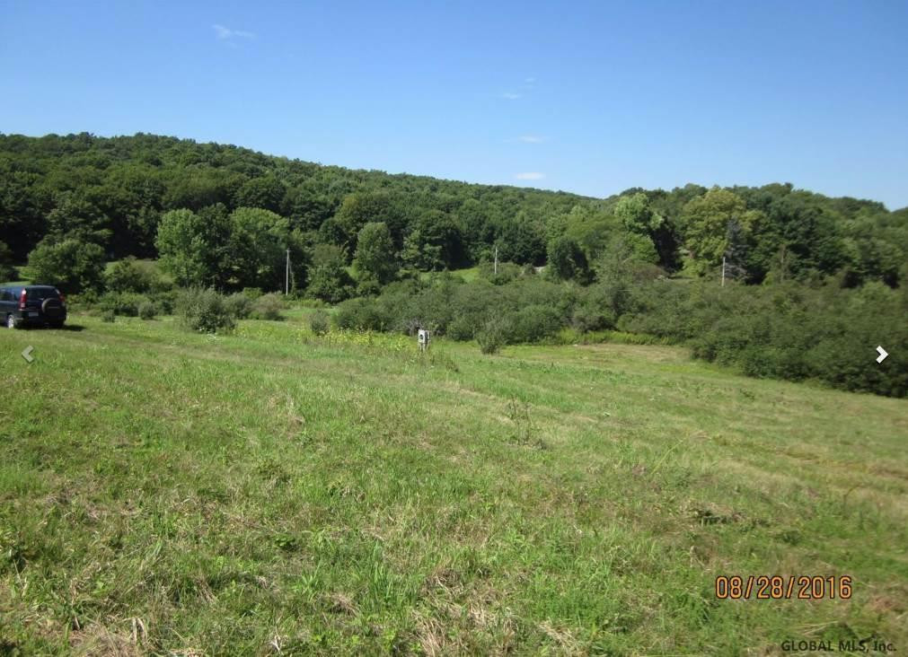 2 Elsohn Road Ancram, NY 12502 - Photo 12 of 15 Photo 13