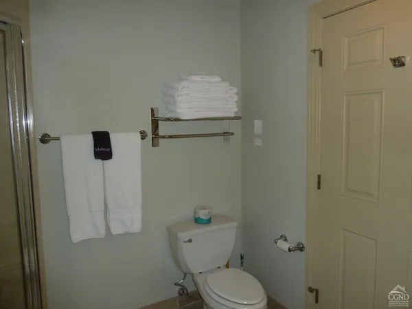 a white toilet sitting next to a shower