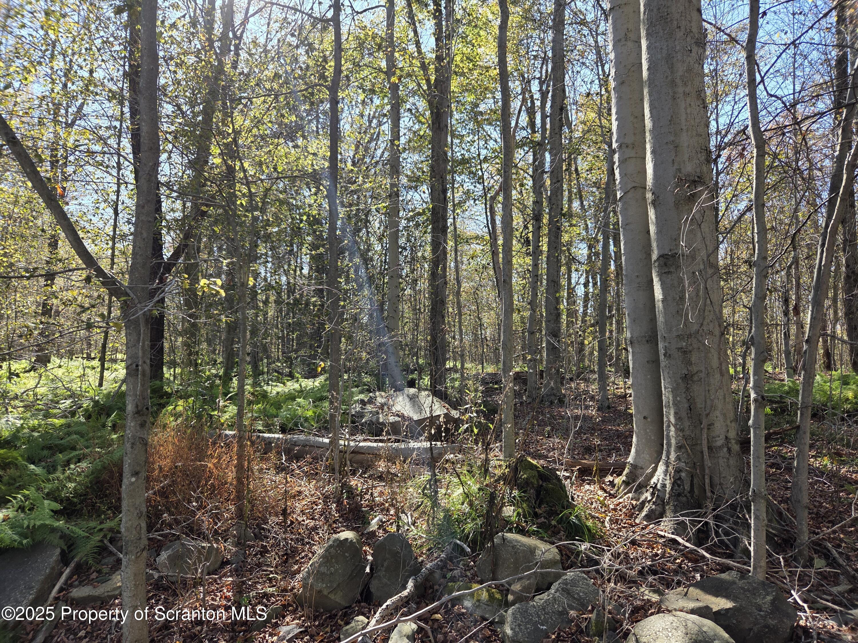 State Park Road Road Gouldsboro, PA 18424 - Photo 3 of 3 Build your dream home, privacy!