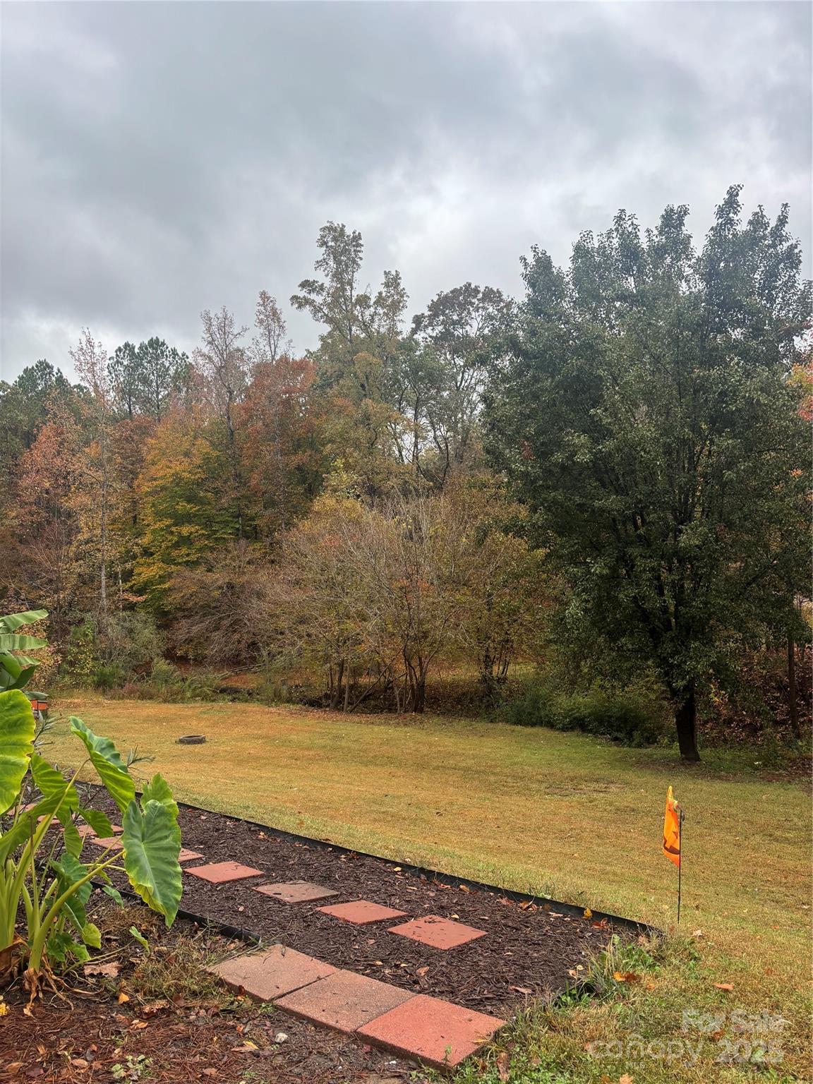 2877 Shannon Street Sharon, SC 29742 - Photo 26 of 29 a view of a yard with an ocean