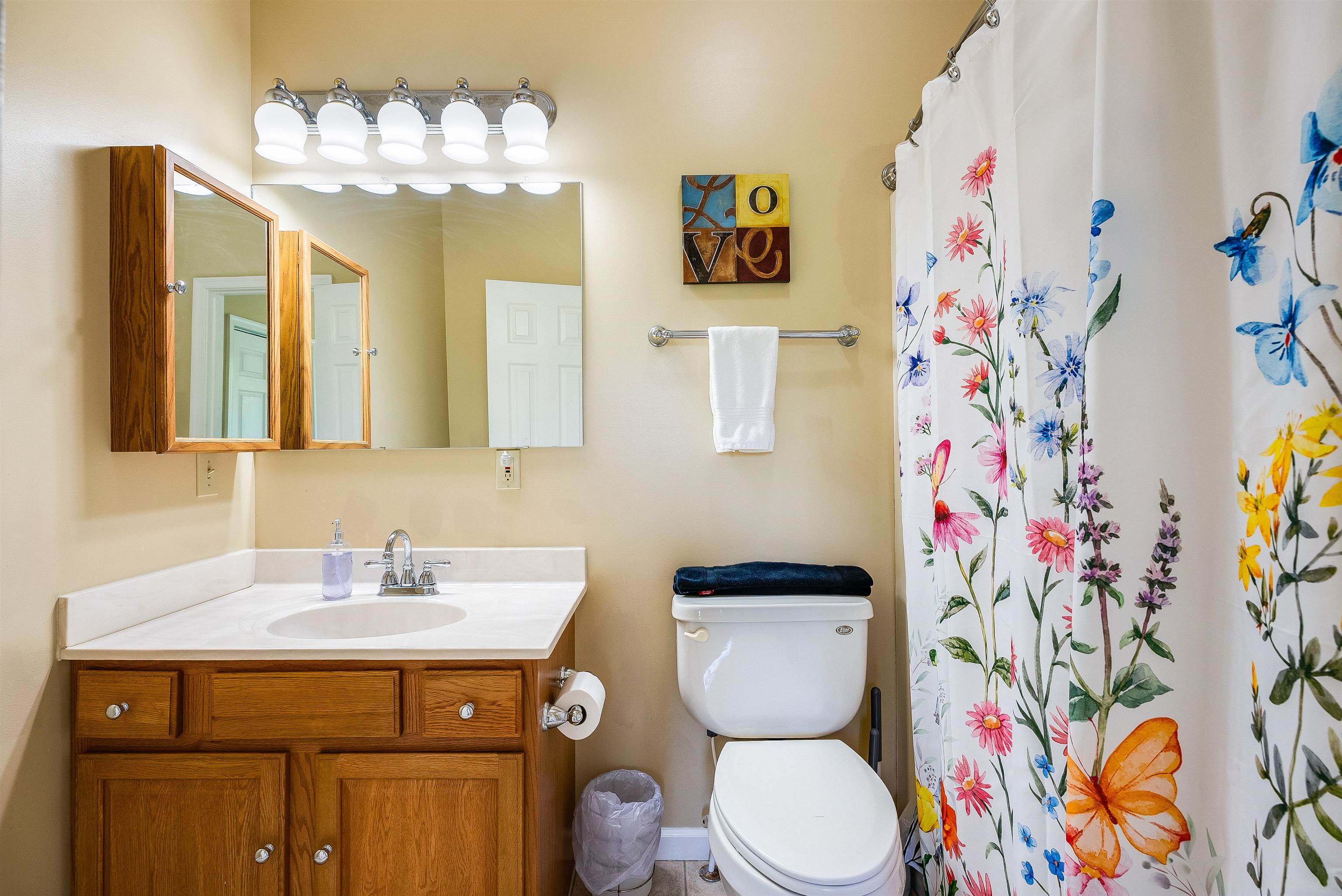 312 Rainier Road McGaheysville, VA 22840 - Photo 33 of 55 a bathroom with a sink mirror and vanity