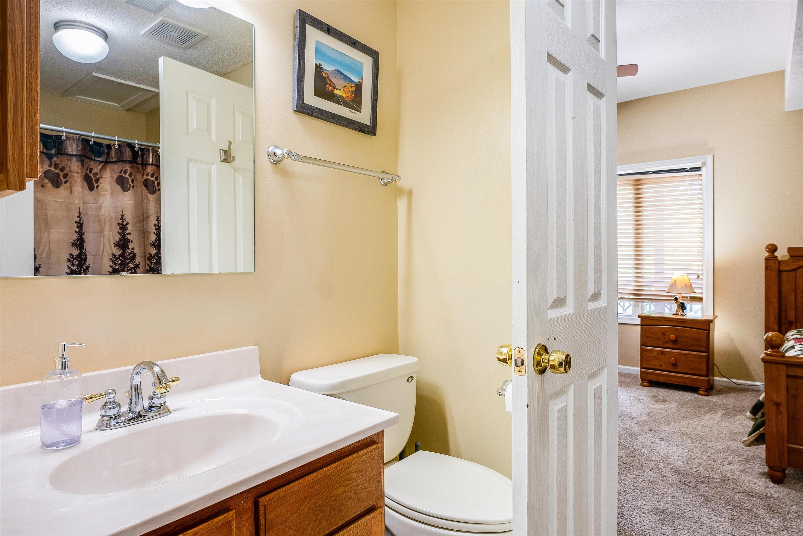 312 Rainier Road McGaheysville, VA 22840 - Photo 42 of 55 a bathroom with a sink toilet and shower