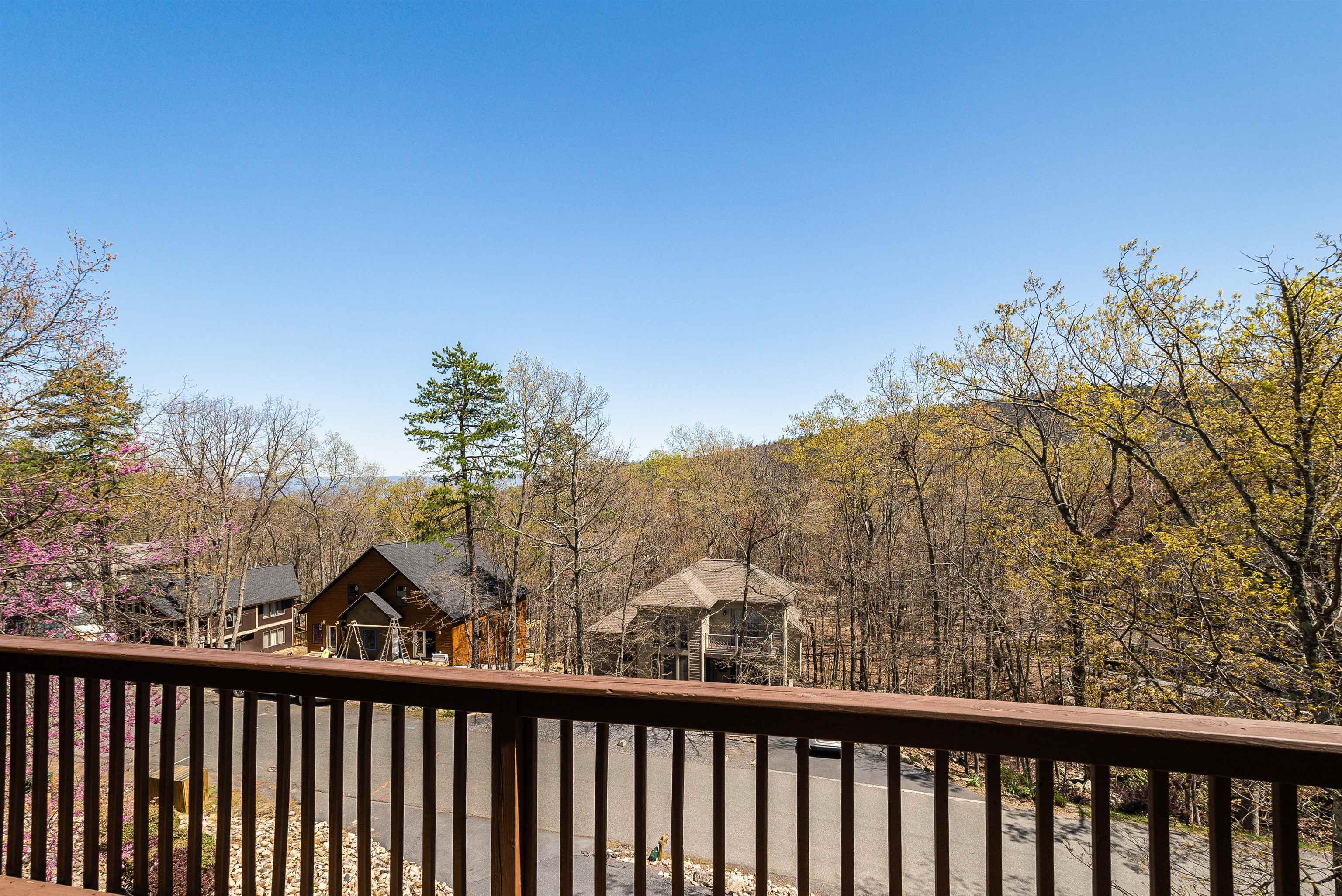 312 Rainier Road McGaheysville, VA 22840 - Photo 47 of 55 a view of a forest