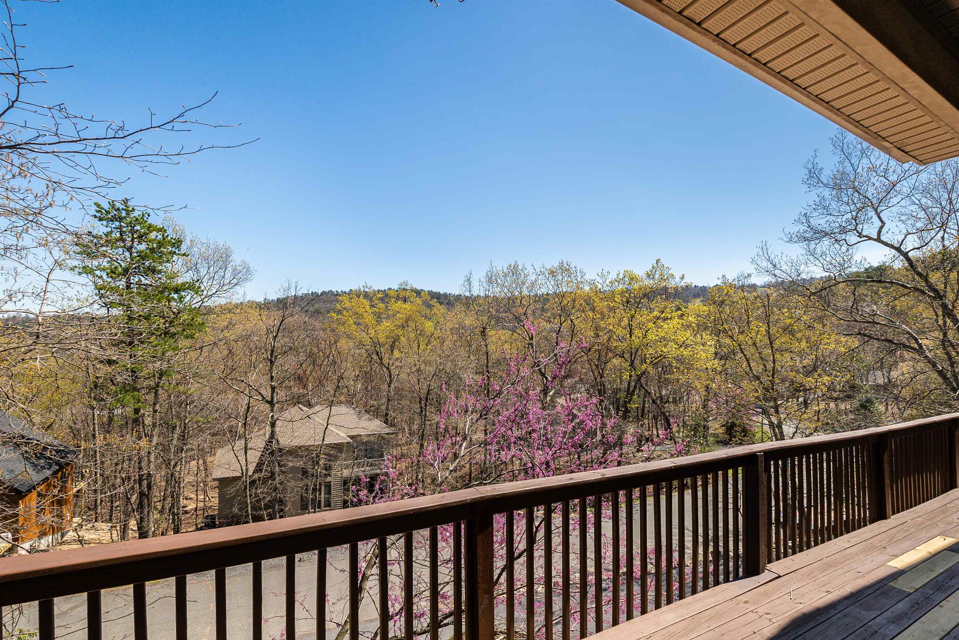 312 Rainier Road McGaheysville, VA 22840 - Photo 48 of 55 a view of a mountain from a balcony
