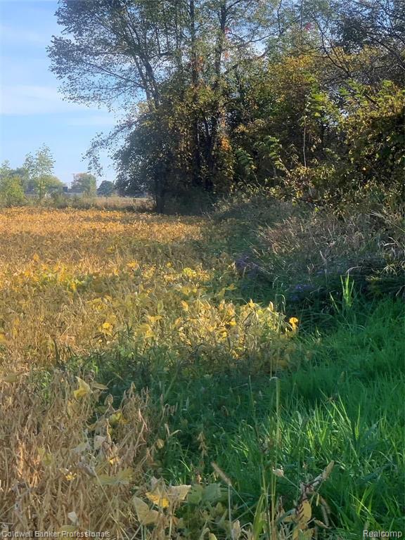 Vl Lake Pleasant Road North Branch, MI 48461 - Photo 2 of 4