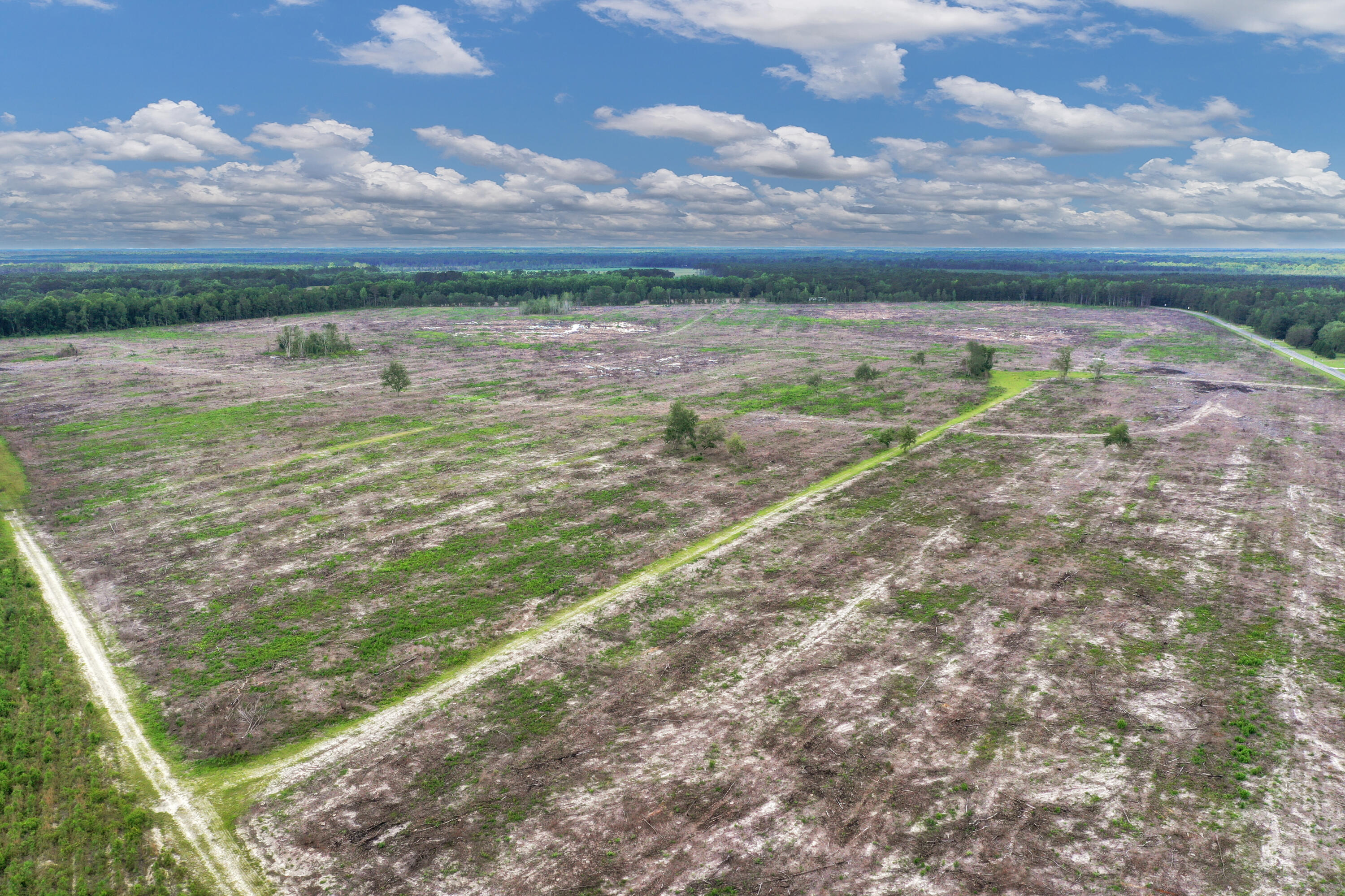 5120 North Brewington Road, Unit 2 Alcolu, SC 29001 - Photo 7 of 46 DJI_0474