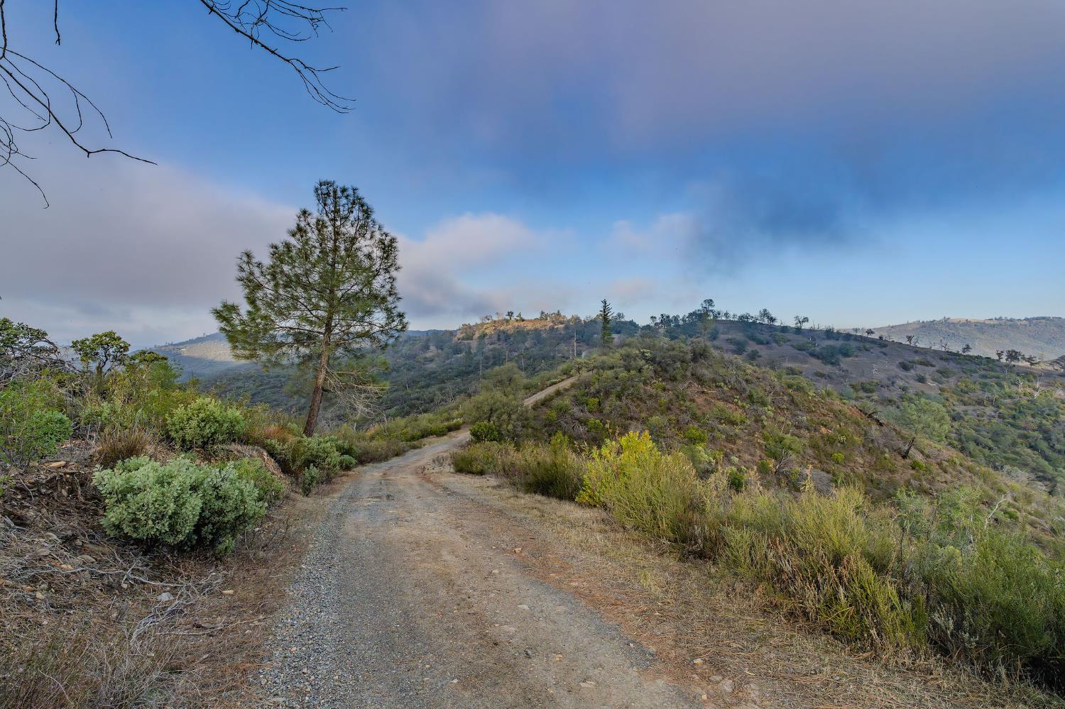 71 Hawver Road San Andreas, CA 95249 - Photo 18 of 96
