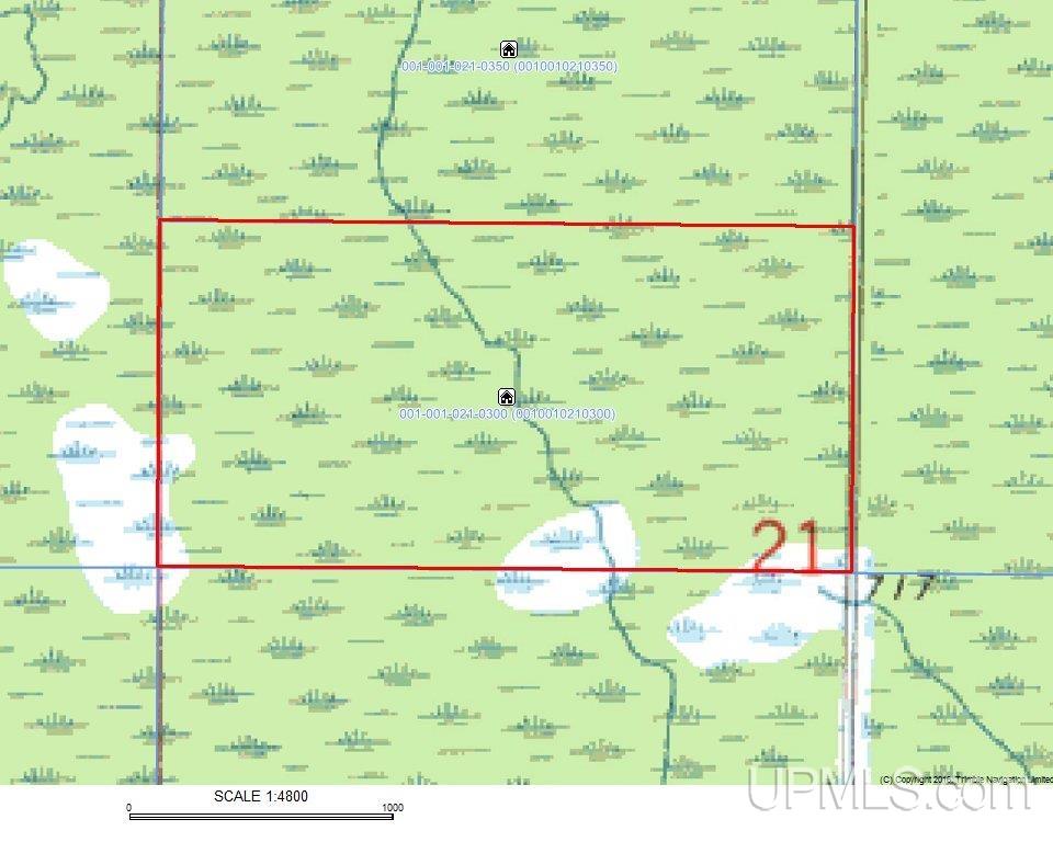 21 Co Road McMillan, MI 49853 - Photo 28 of 28