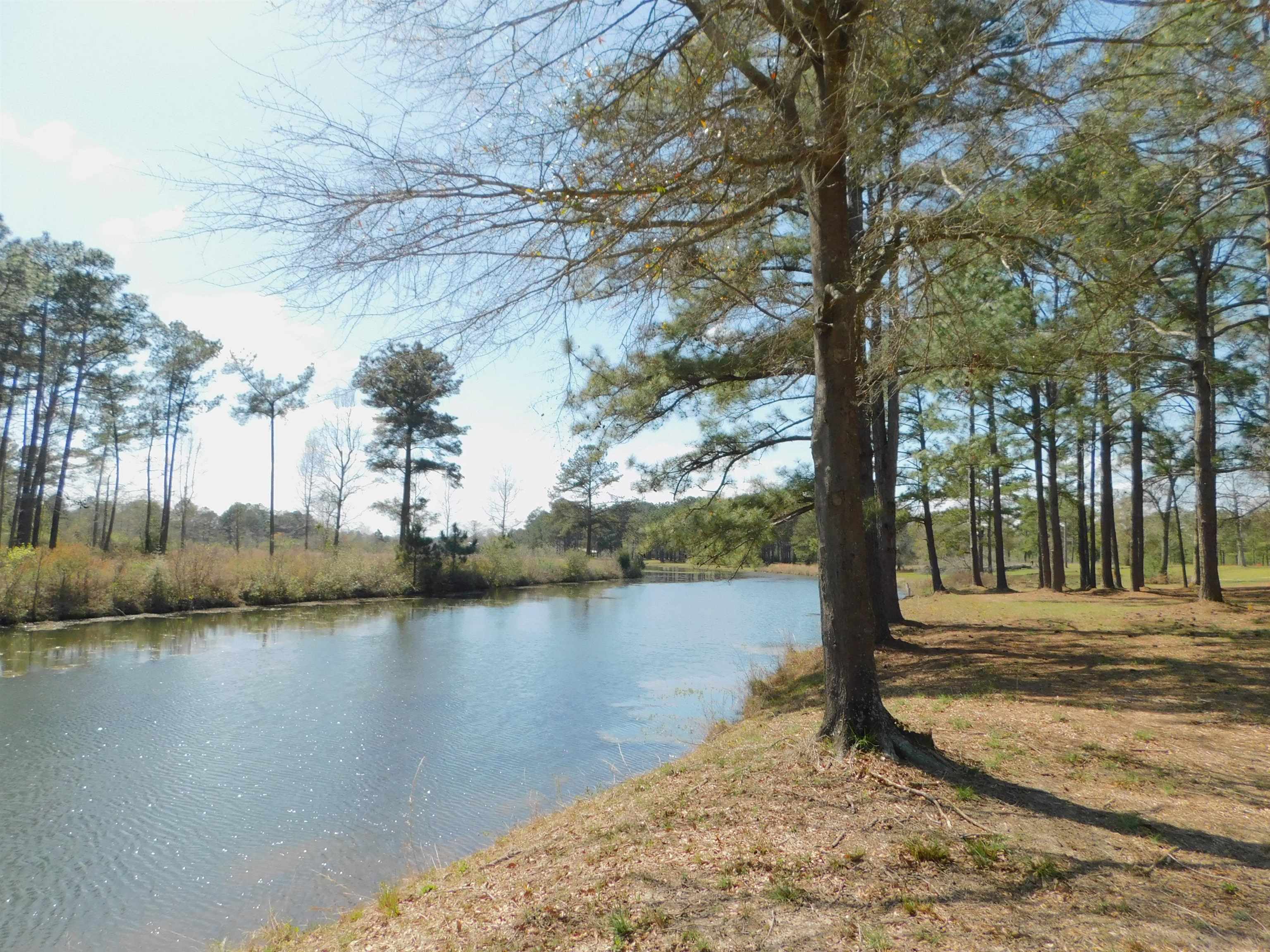 Lot 2 Fop Lodge Road Andalusia, AL 36421 - Photo 2 of 3 Gallery Image 2