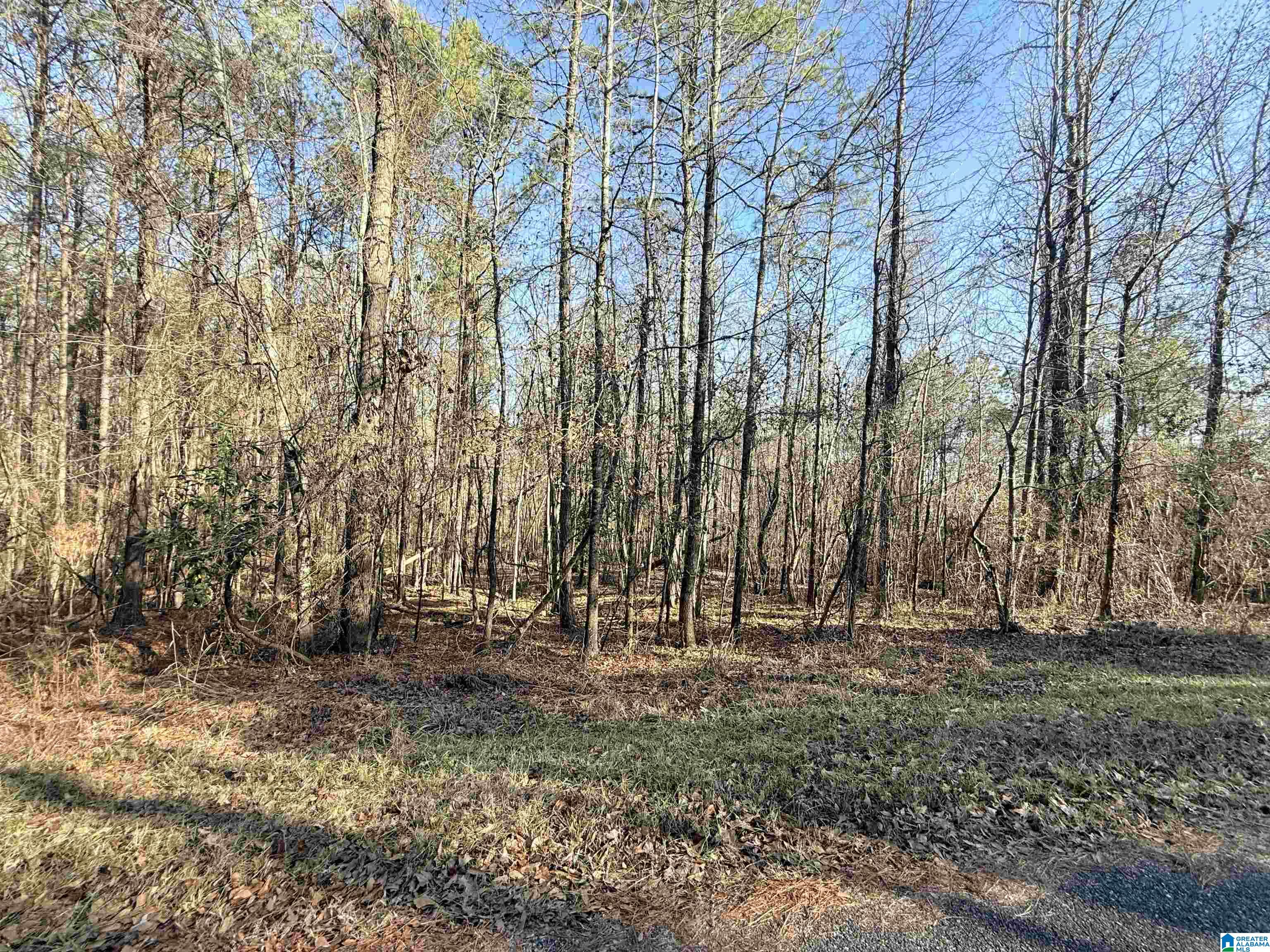 Highland Street, Unit 8 Gadsden, AL 35905 - Photo 3 of 4
