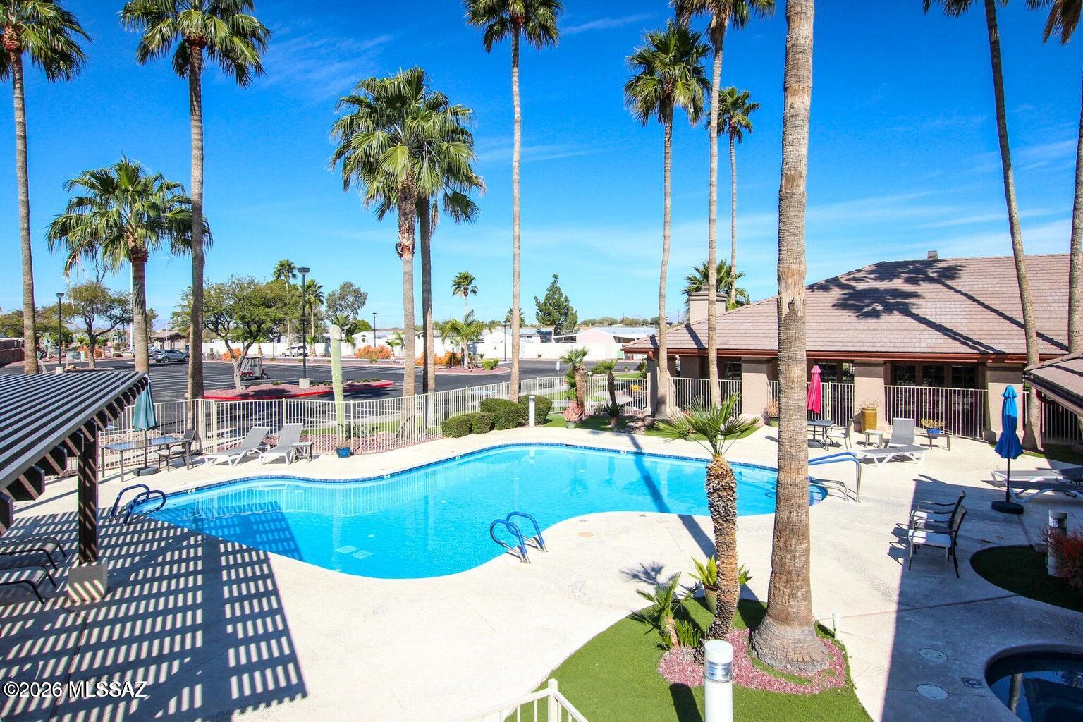 8401 South Kolb Road, Unit 61 Tucson, AZ 85756 - Photo 4 of 23 a view of a swimming pool with a lawn chairs under palm trees