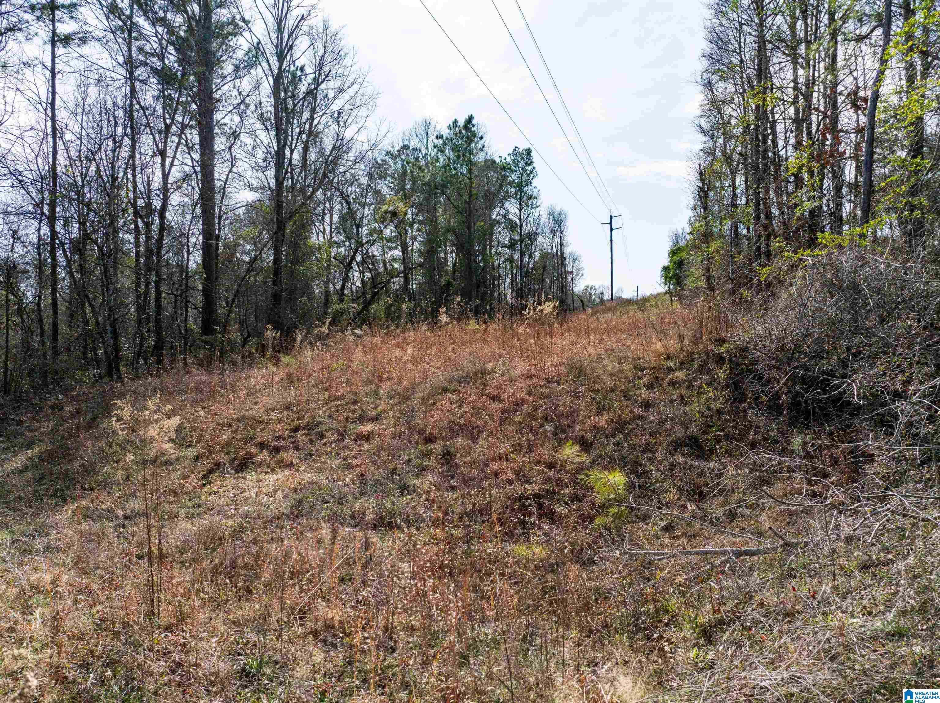 0 Flat Rock Road Tallassee, AL 36078 - Photo 13 of 13