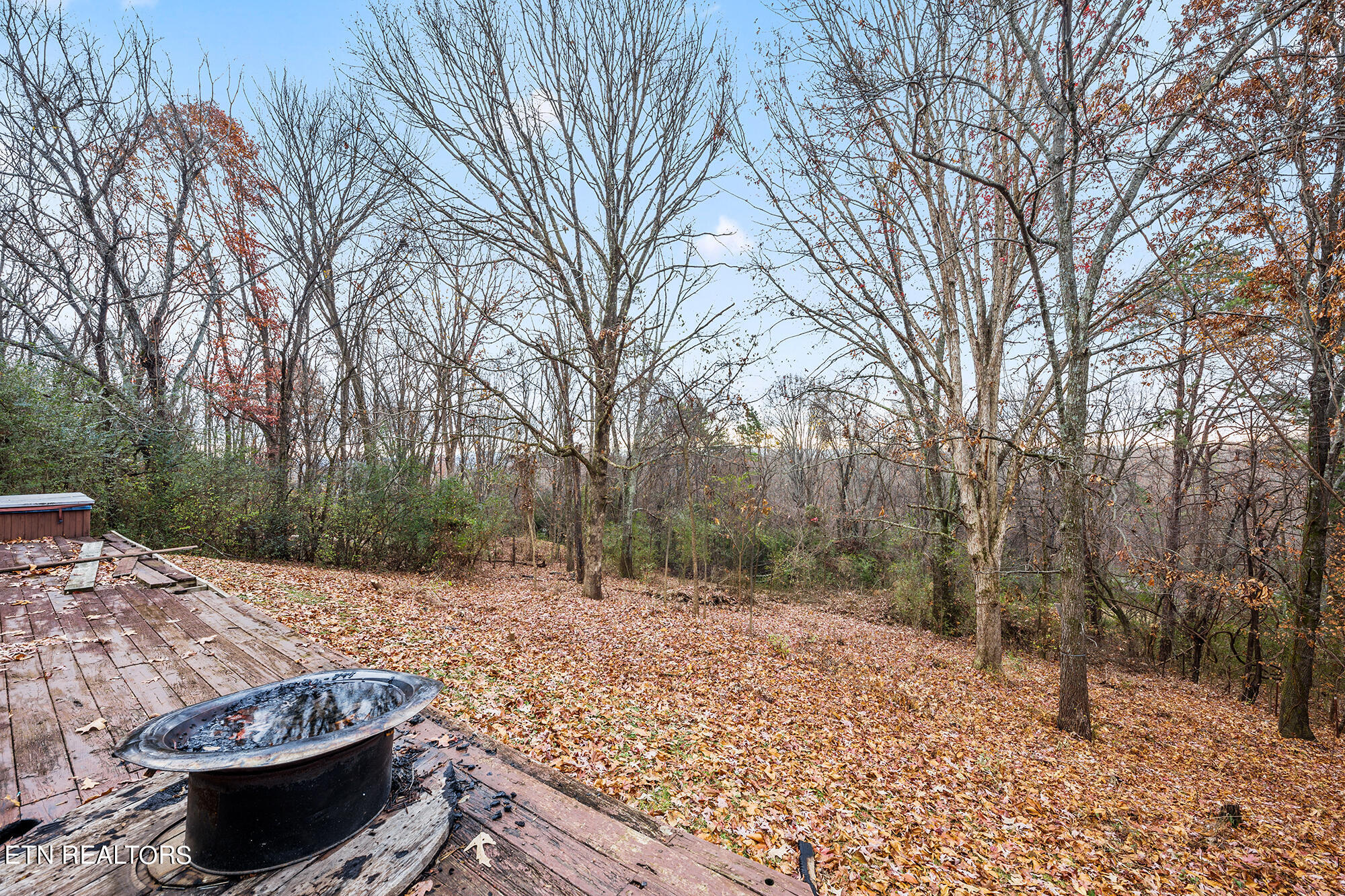 11748 Black Road Knoxville, TN 37932 - Photo 34 of 40 34