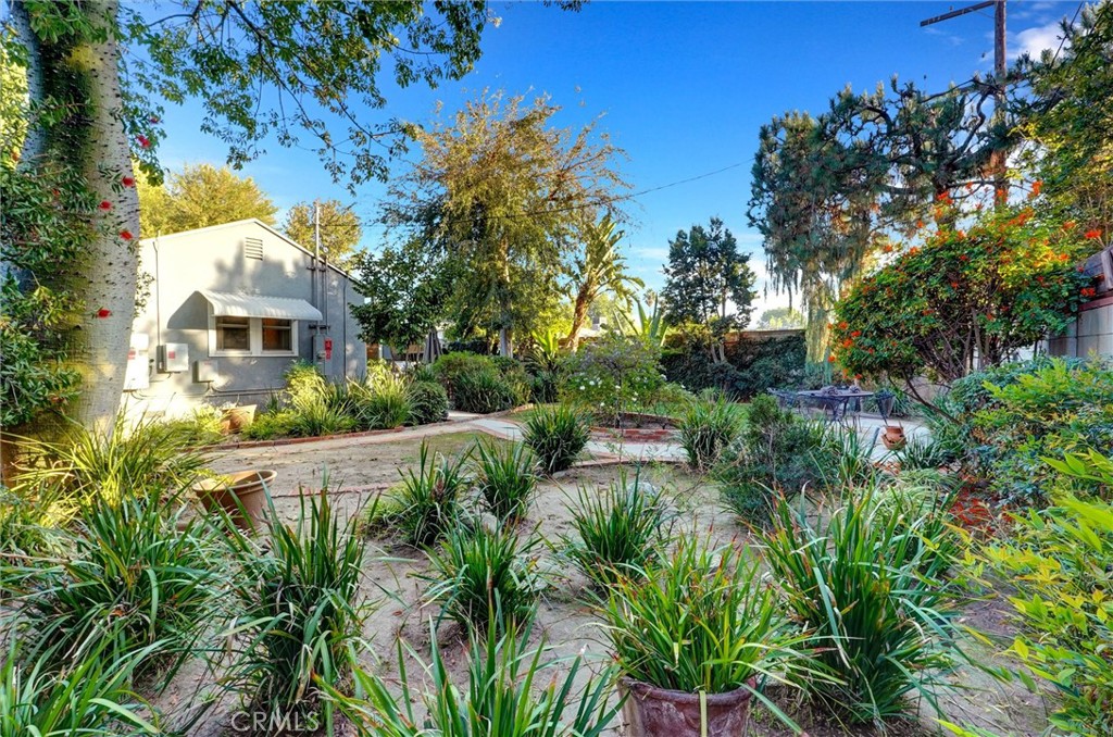 6649 Ranchito Avenue Van Nuys, CA 91405 - Photo 27 of 31 a view of a garden with plants and large trees