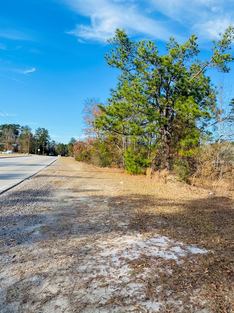 1714 Barton Chapel Road Augusta, GA 30909 - Photo 2 of 4