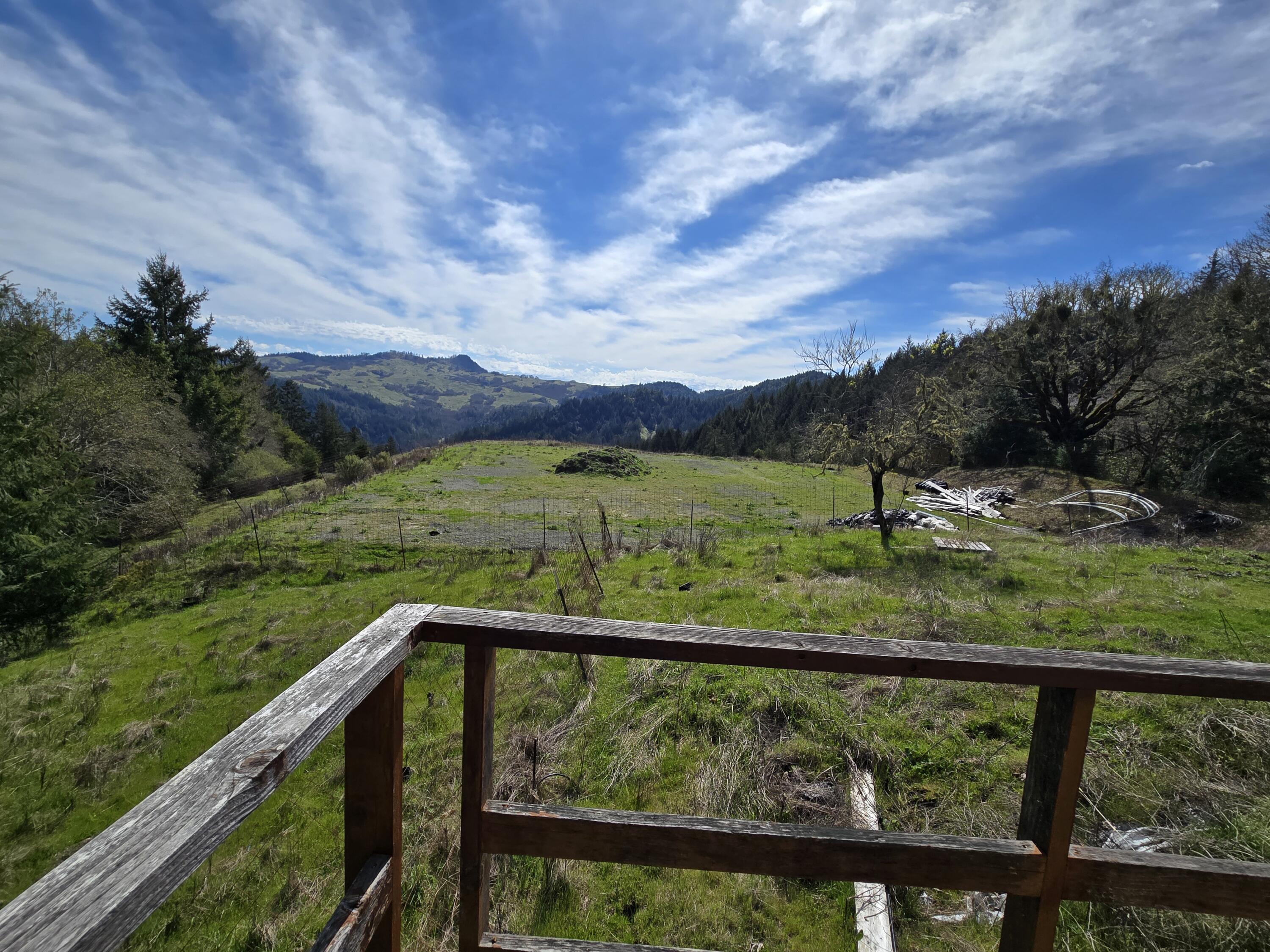 1063 Wool Mountain Road Zenia, CA 95595 - Photo 2 of 22