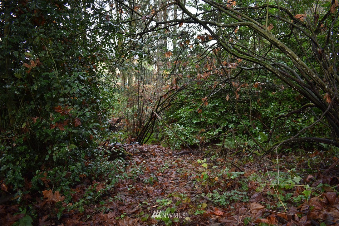 19829 140th Avenue Southeast Renton, WA 98058 - Photo 2 of 20 Gallery Image 2