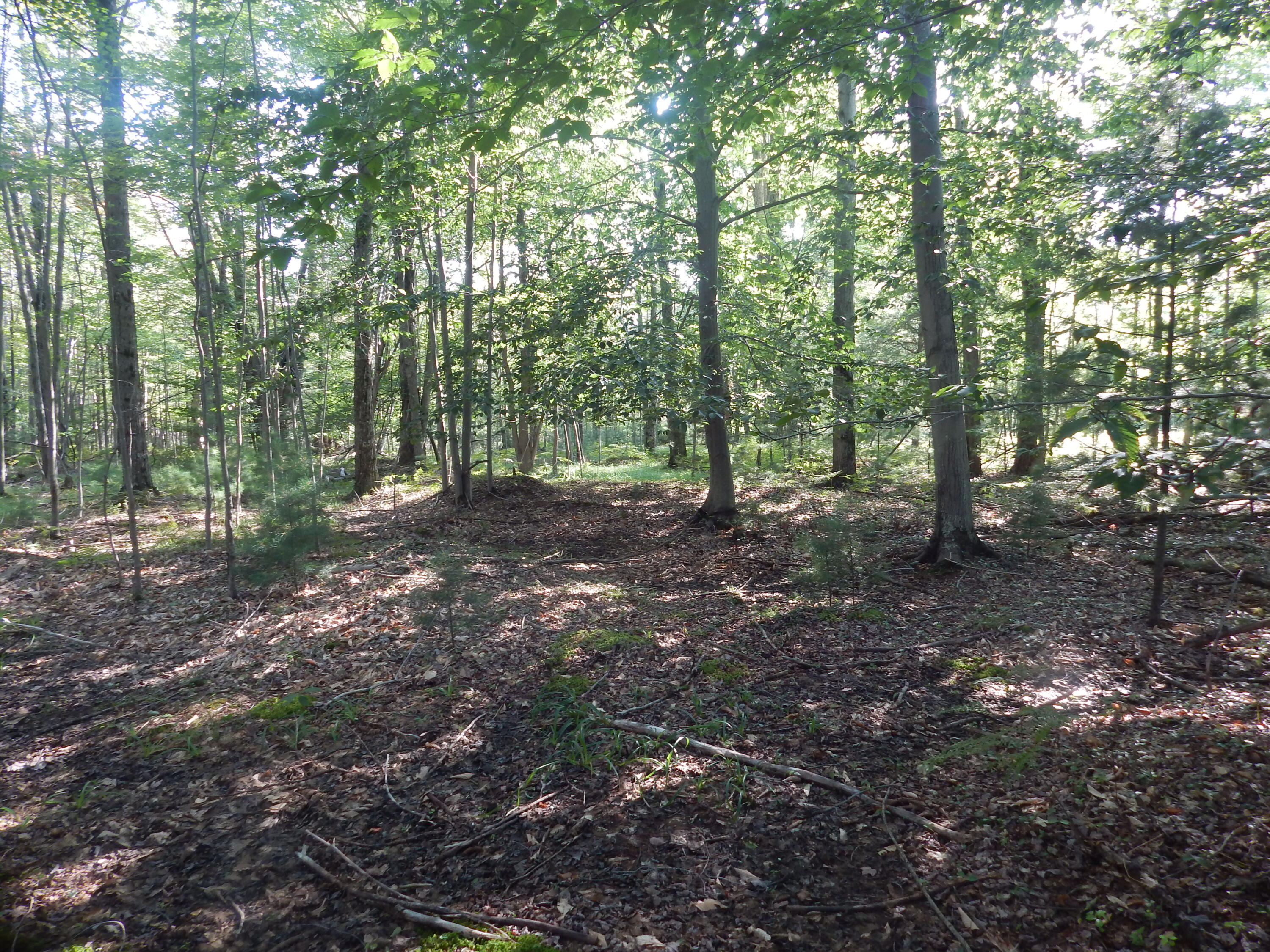 Koenig Road, Unit A Manistee, MI 49660 - Photo 27 of 31 Flat and dry