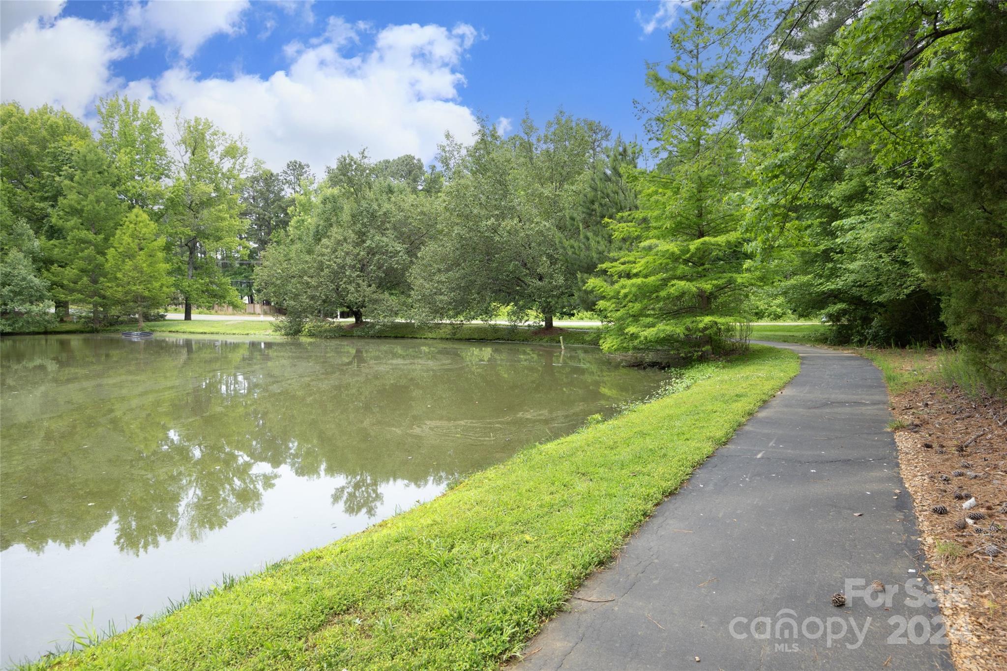 819 Homestead Road Chapel Hill, NC 27516 - Photo 40 of 42 a view of a lake with a yard