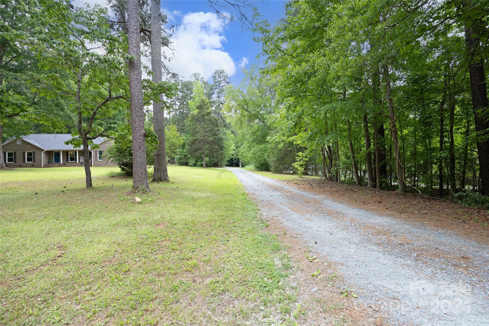 819 Homestead Road Chapel Hill, NC 27516 - Photo 5 of 42 a view of a tree in a yard