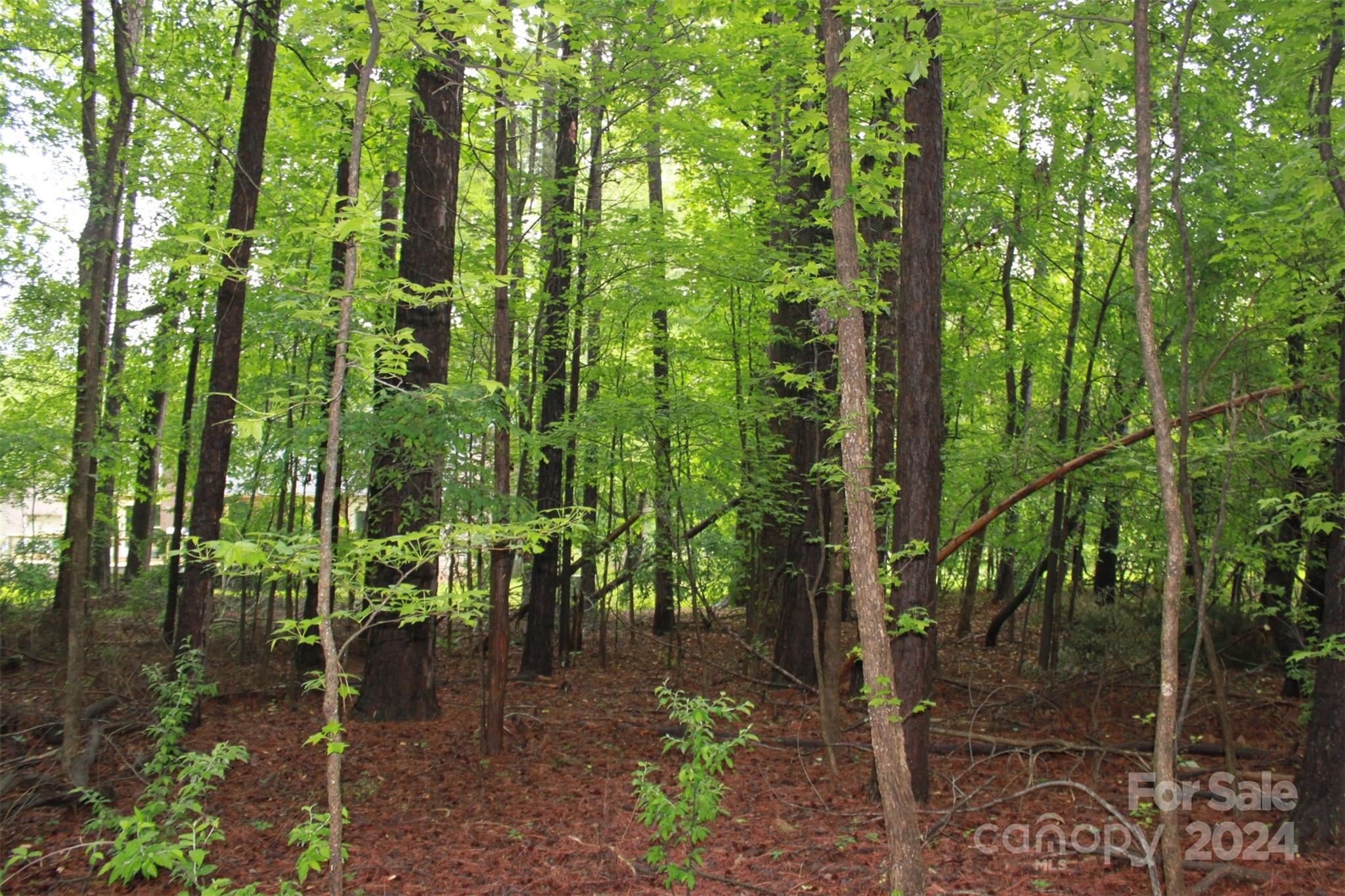 819 Homestead Road Chapel Hill, NC 27516 - Photo 6 of 42 a view of an outdoor space