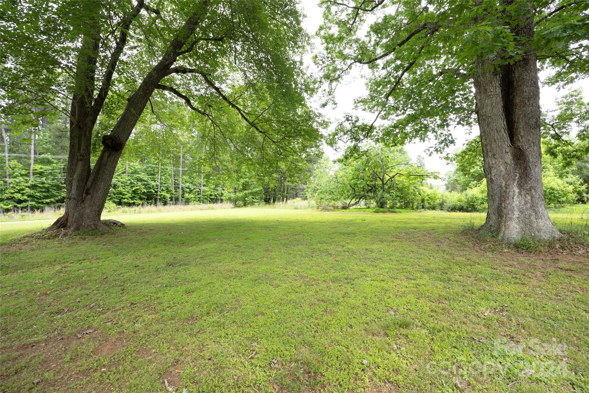819 Homestead Road Chapel Hill, NC 27516 - Photo 10 of 42 a view of an outdoor space with a lake view