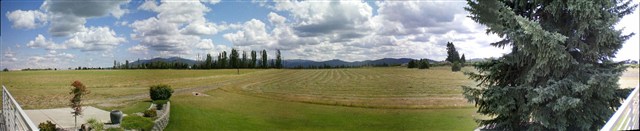 19025 North Sands Road Colbert, WA 99005 - Photo 9 of 9