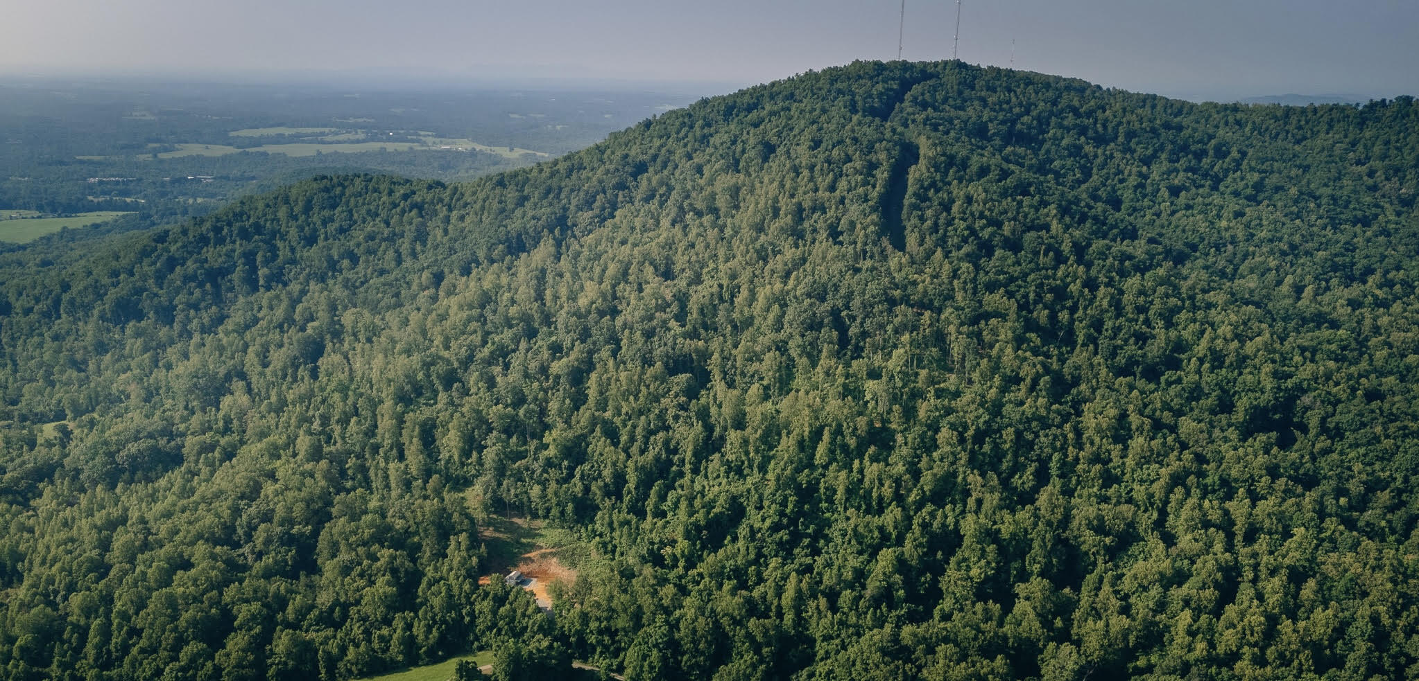 0 Johnson School Road Thaxton, VA 24174 - Photo 2 of 17 a view of a garden