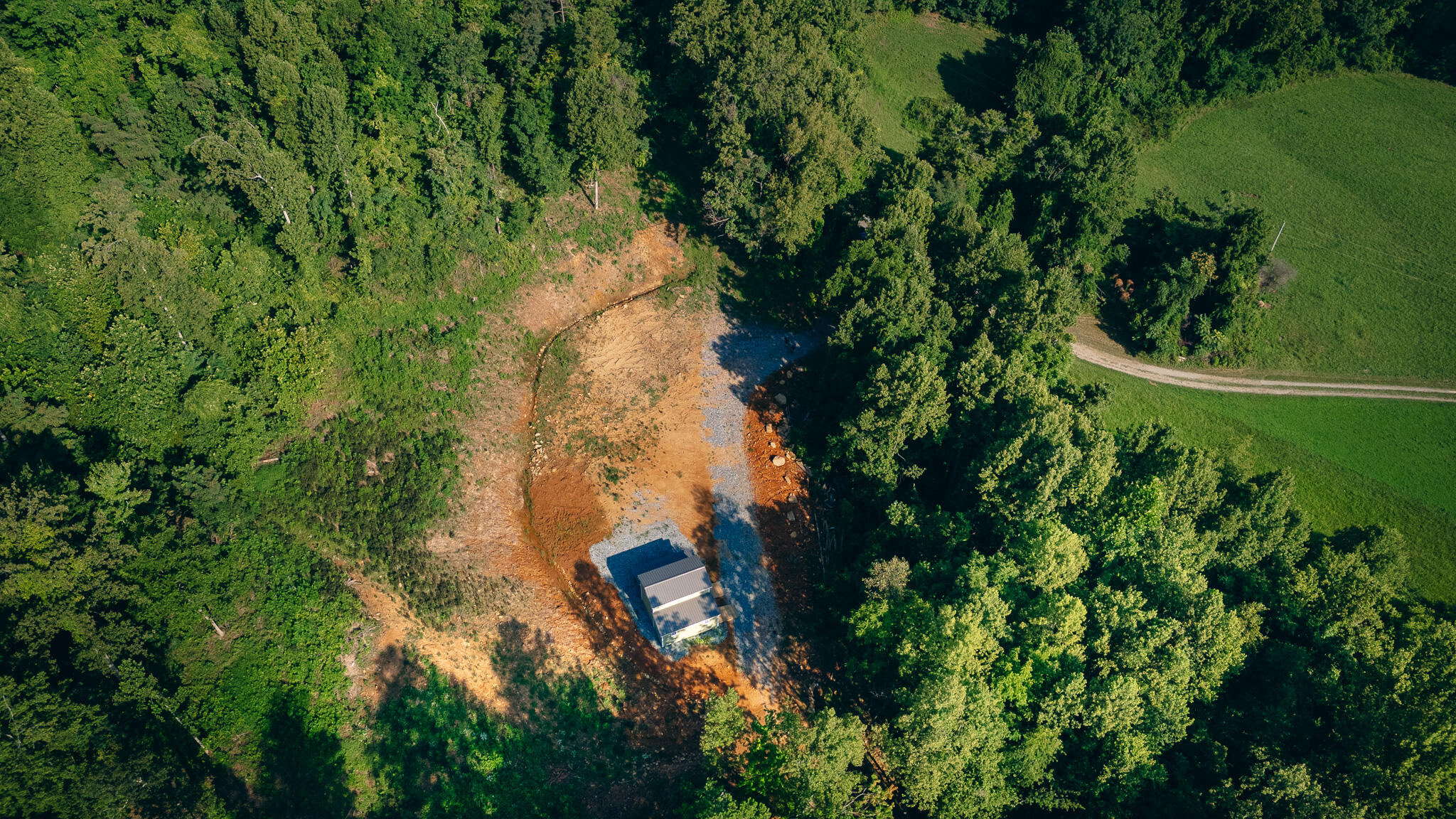 0 Johnson School Road Thaxton, VA 24174 - Photo 9 of 17 a view of a tree in a garden