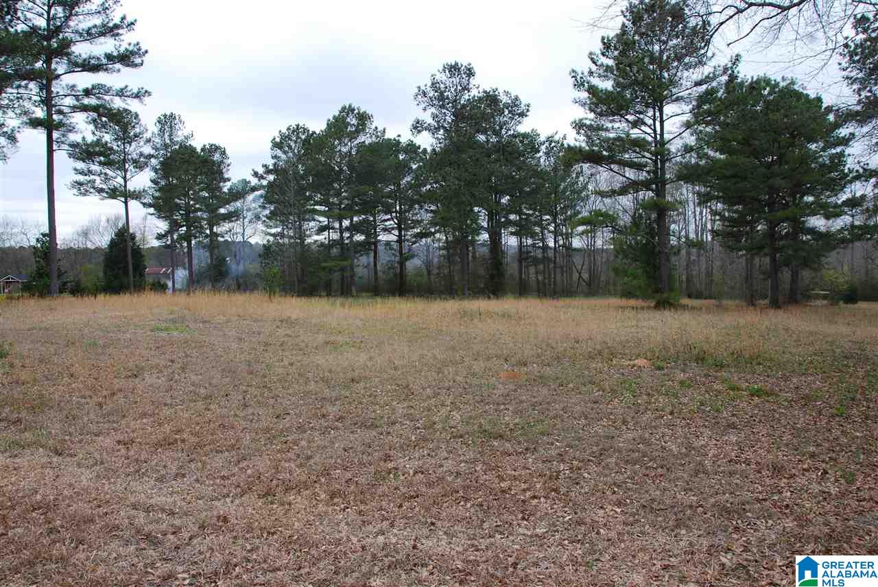 870 Beaver Ridge Drive, Unit 1 Ashville, AL 35953 - Photo 4 of 4