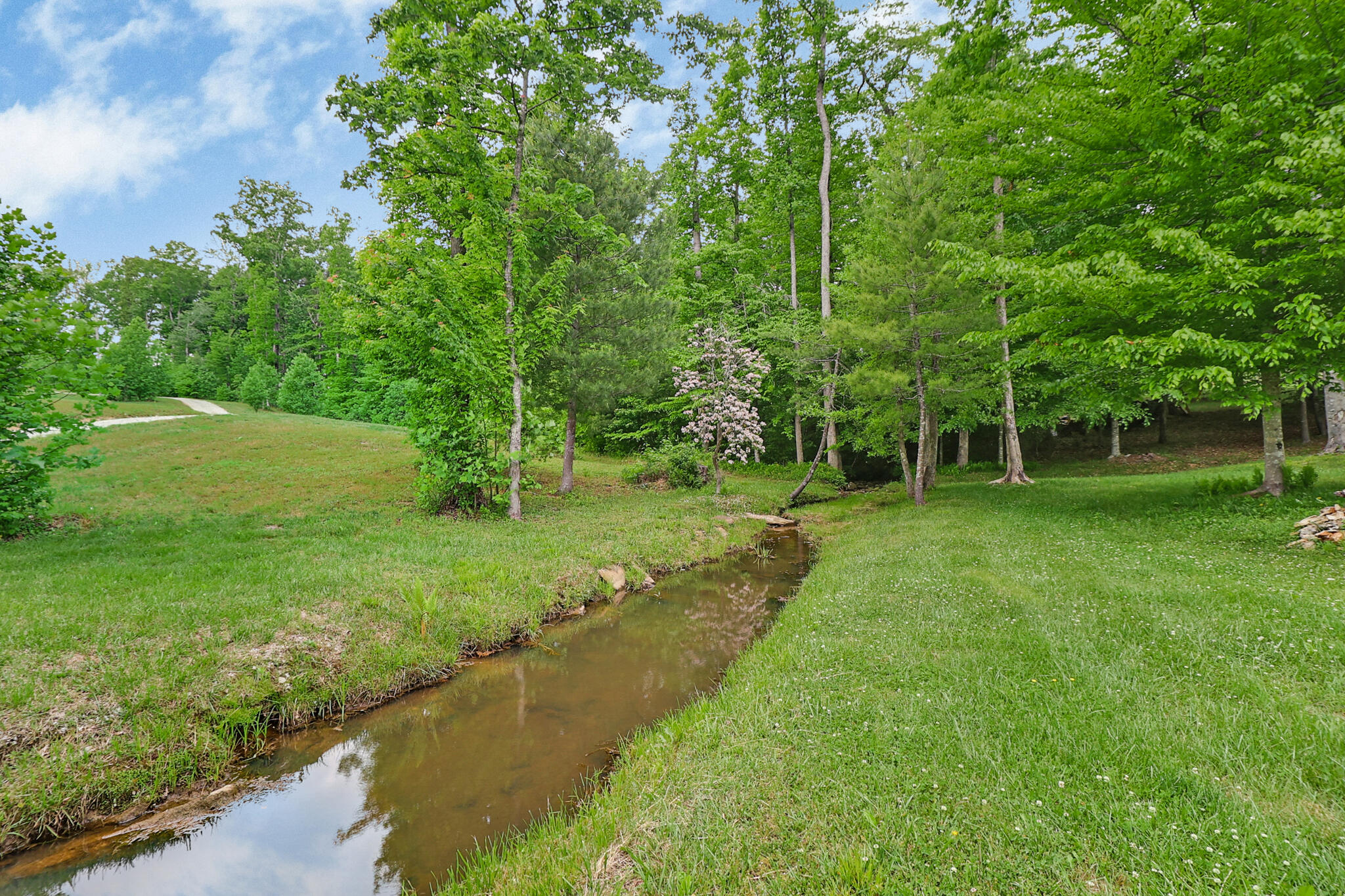 2930 Doc Loy Road Grandview, TN 37337 - Photo 3 of 42 n44a9612-n44a9616
