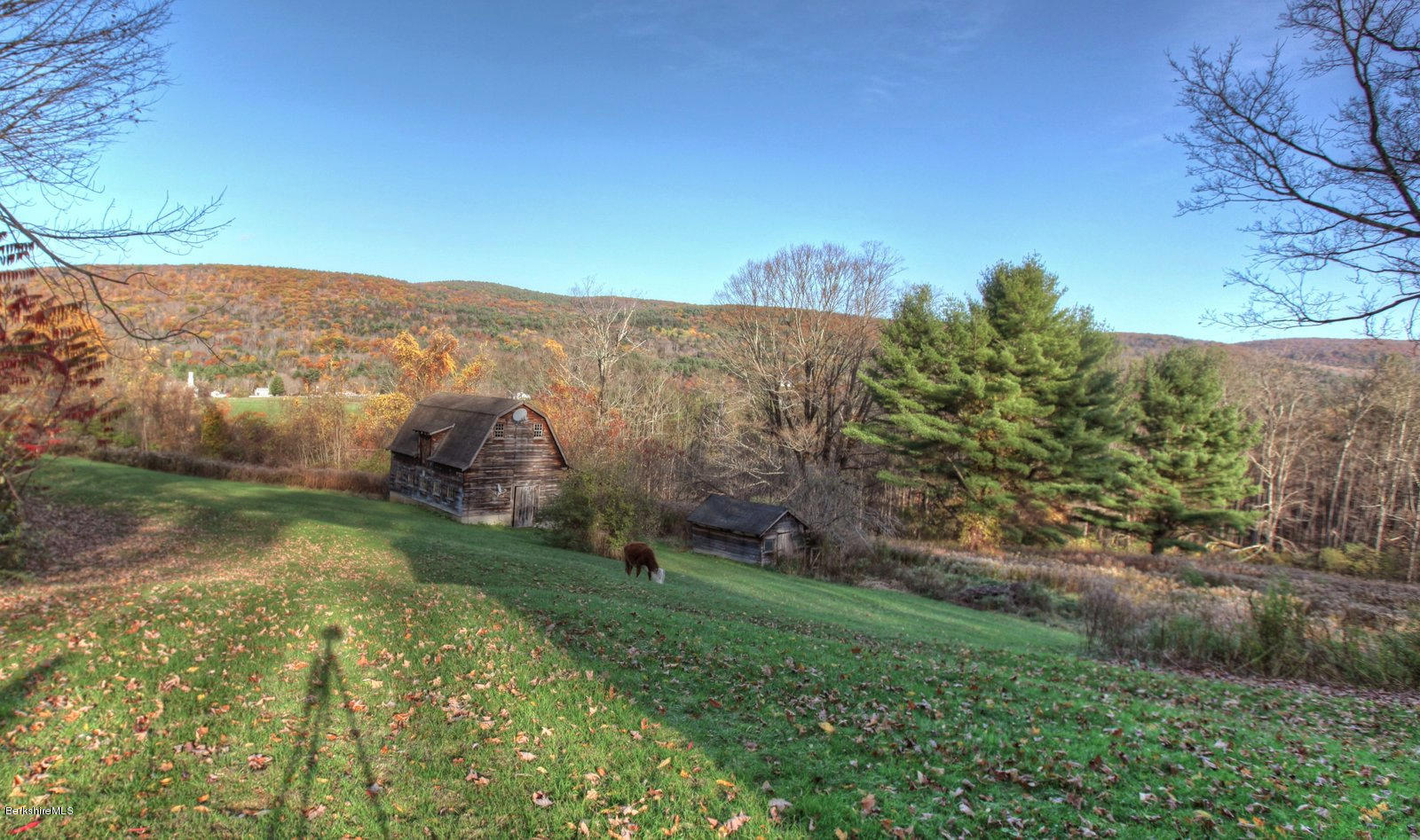 25 Jerusalem Road Tyringham, MA 01264 - Photo 5 of 30 a view of a yard with a mountain