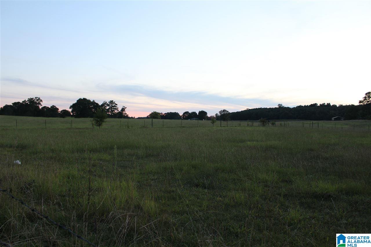 203 Camp Creek Road Vincent, AL 35178 - Photo 5 of 31