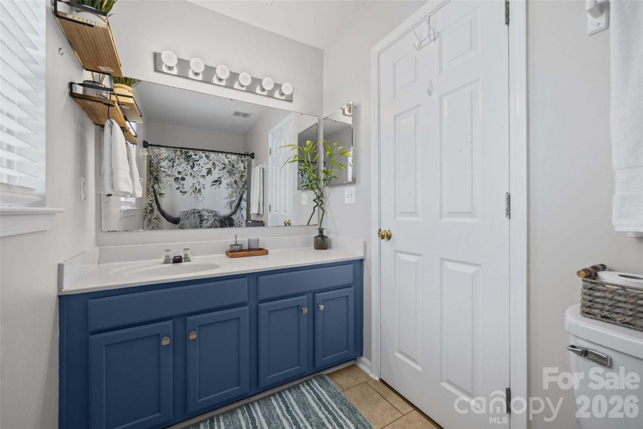 7076 White Bluff Drive Tega Cay, SC 29708 - Photo 28 of 44