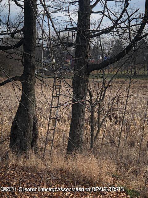 0 Wright Road Leslie, MI 49251 - Photo 29 of 41 29