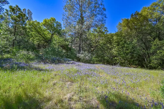 a view of a pathway with a park