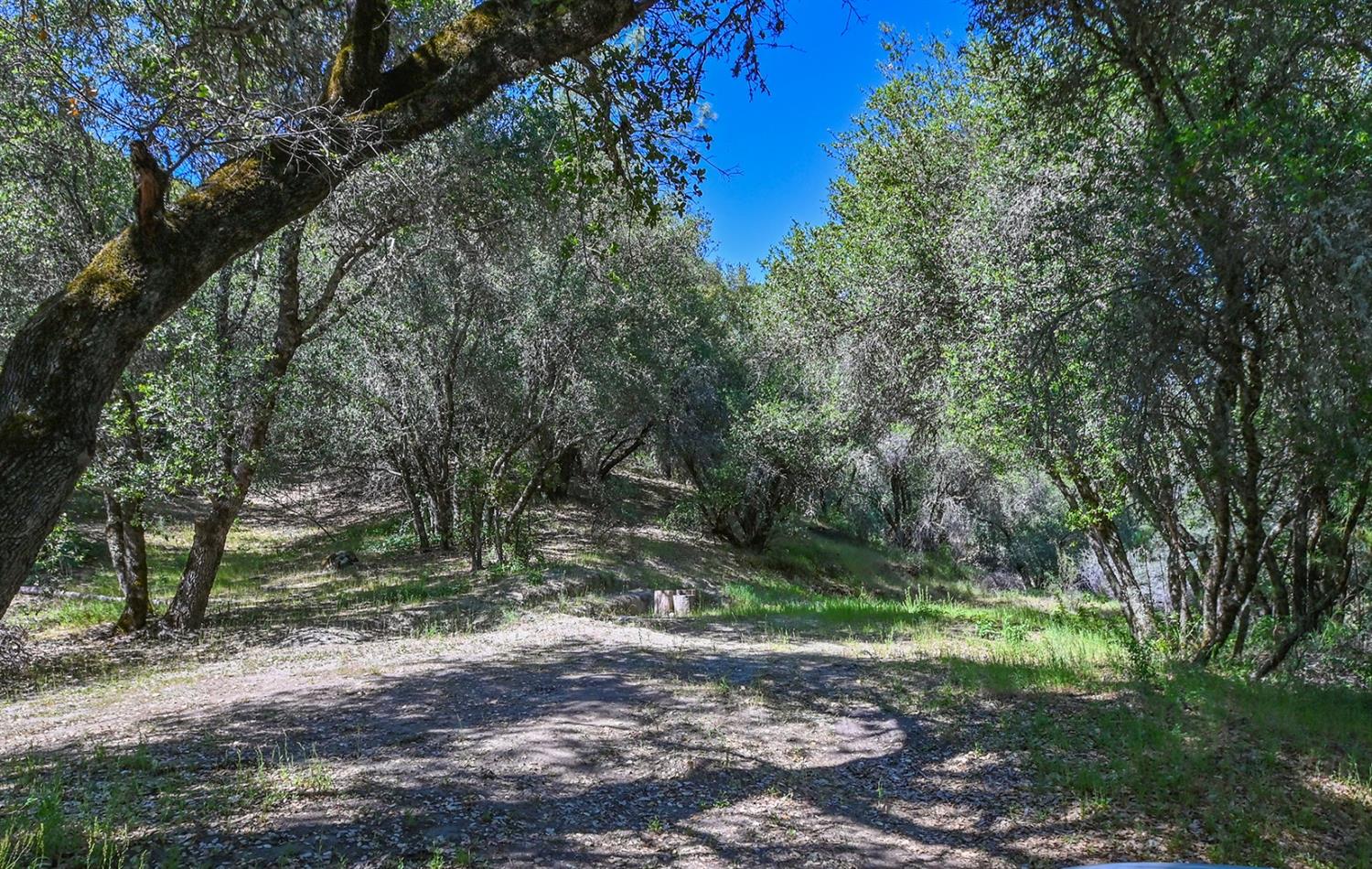 6412 Mt Aukum Road Somerset, CA 95684 - Photo 23 of 65 a backyard of a house with a trees