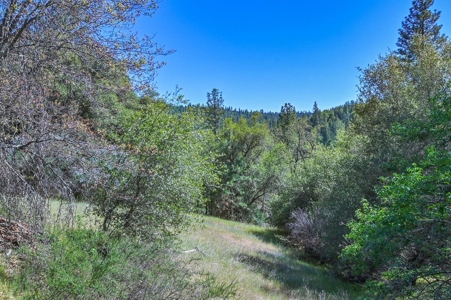 6412 Mt Aukum Road Somerset, CA 95684 - Photo 24 of 65 a view of a city with lush green forest