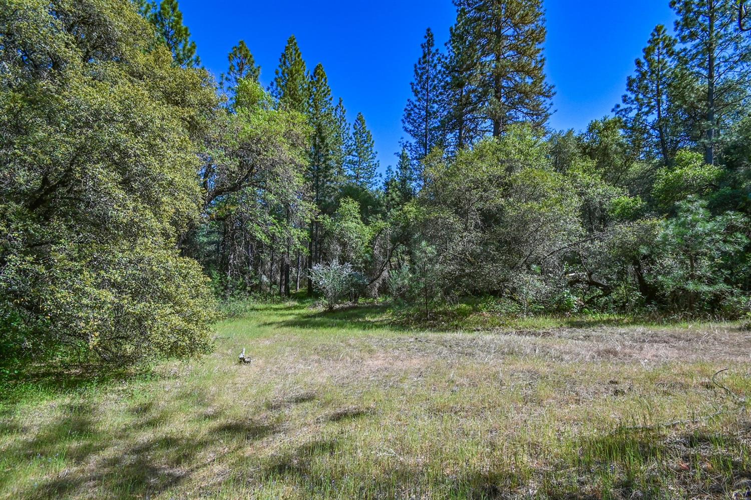 6412 Mt Aukum Road Somerset, CA 95684 - Photo 25 of 65 a view of outdoor space with trees all around