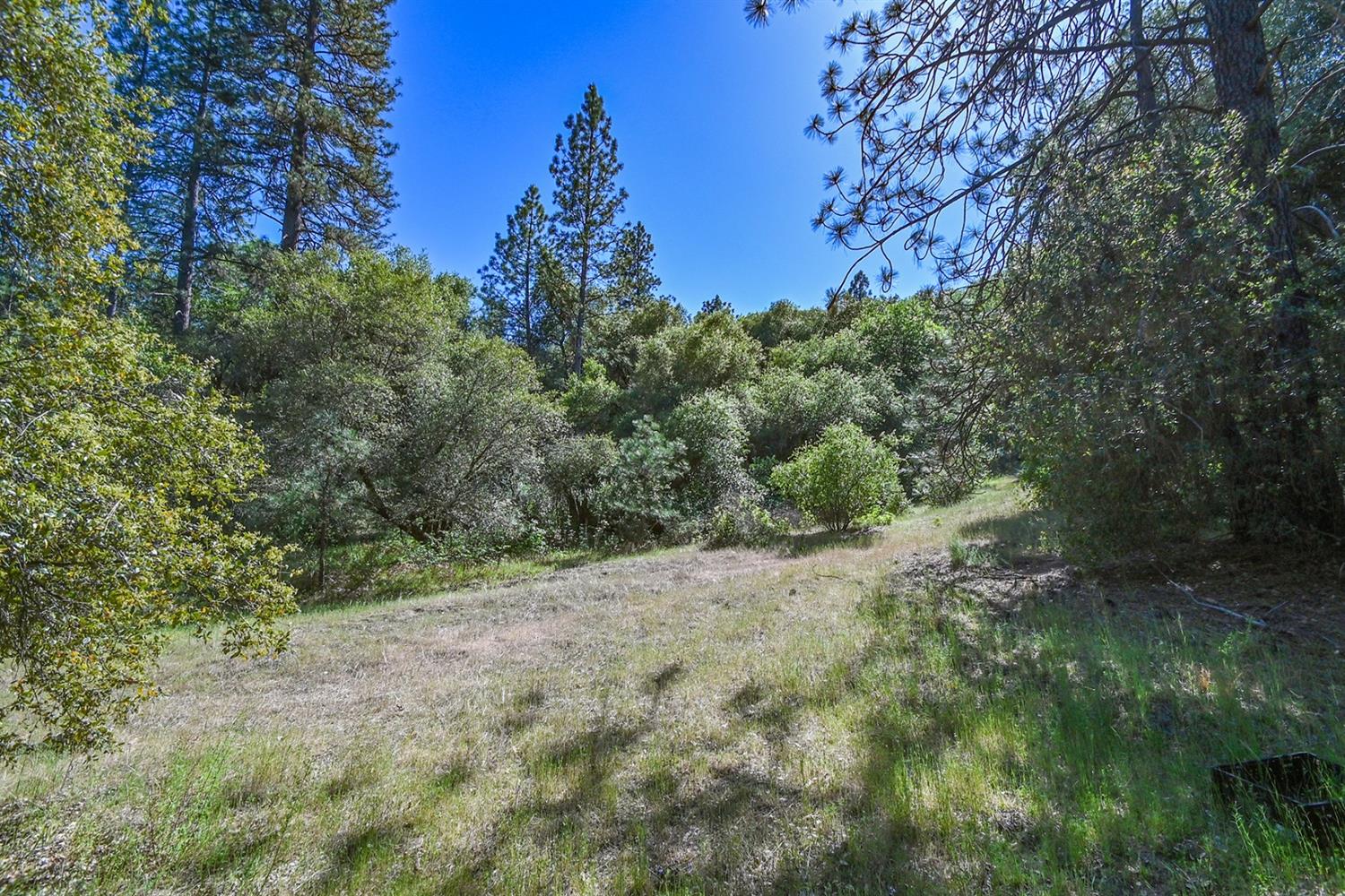 6412 Mt Aukum Road Somerset, CA 95684 - Photo 27 of 65 a view of a field with a tree in the background