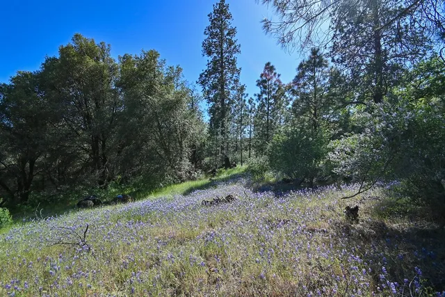 a view of a city with a mountain in the background