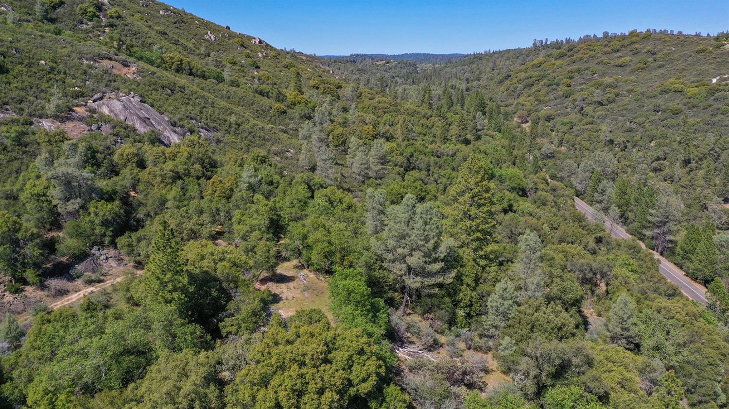6412 Mt Aukum Road Somerset, CA 95684 - Photo 30 of 65 a view of a forest with a mountain in the background