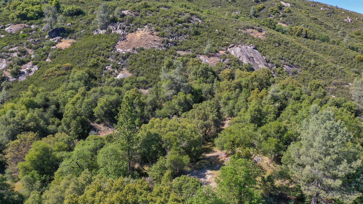 6412 Mt Aukum Road Somerset, CA 95684 - Photo 31 of 65 an aerial view of residential house with outdoor space and trees all around