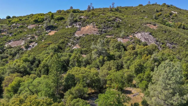 a view of a lush green hillside and a mountain view